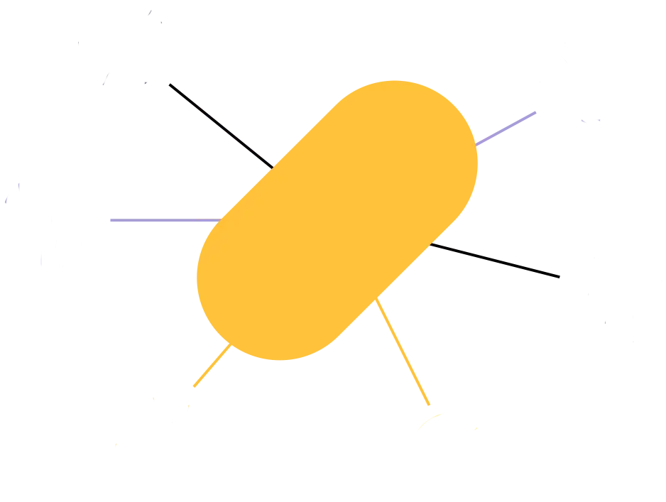 main circle dna